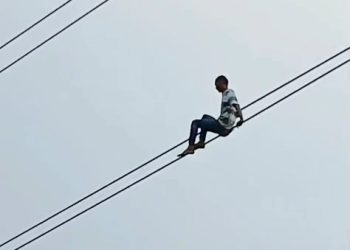 Nekad Panjat Kabel Sutet, Pria Misterius Selamat Usai Tersangkut di Batang Pohon