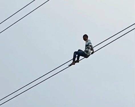 Nekad Panjat Kabel Sutet, Pria Misterius Selamat Usai Tersangkut di Batang Pohon