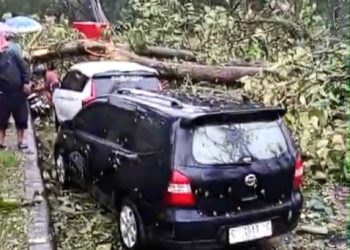 Hujan Badai Landa Alas Roban, 2 Warga Jadi Korban