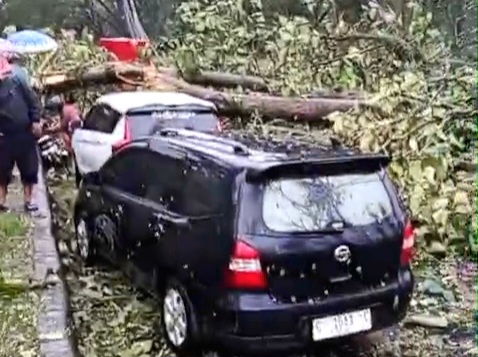 Hujan Badai Landa Alas Roban, 2 Warga Jadi Korban