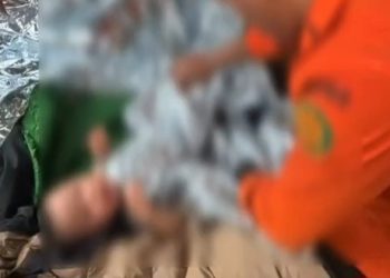 Dibawa Ortunya Naik Gunung,Balita Alami Hipotermia