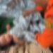 Dibawa Ortunya Naik Gunung,Balita Alami Hipotermia
