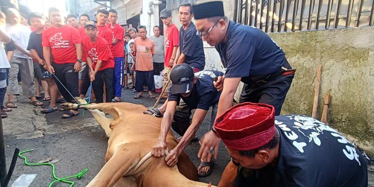 Perayaan Idul Adha di Mushola Al Mujahidin Bekasi Meriah