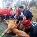 Perayaan Idul Adha di Mushola Al Mujahidin Bekasi Meriah