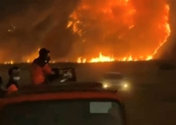 Kebakaran Terus Meluas,BB TNBTS Tutup Sementara Wisata Gunung Bromo
